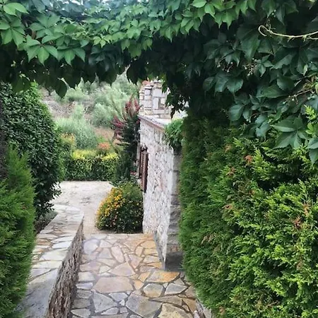 Koroni *